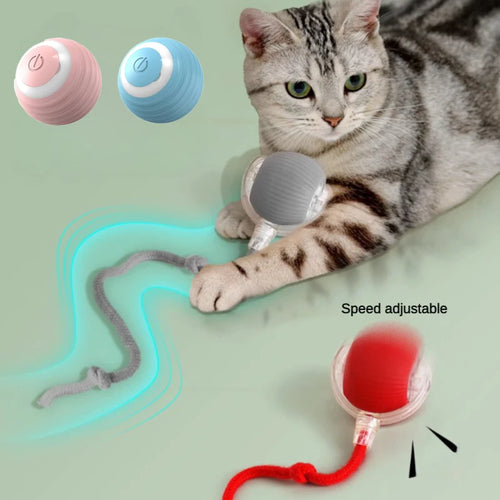 Balle interactive intelligente - vue 1